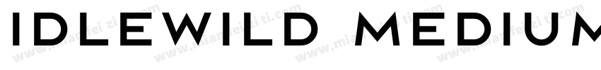 Idlewild Medium字体转换